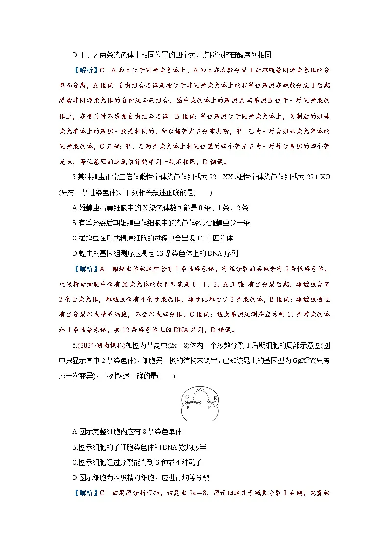 2026届高考生物学一轮专题复习练习：专题4 第2讲　细胞的减数分裂和受精作用 习题及答案解析第3页