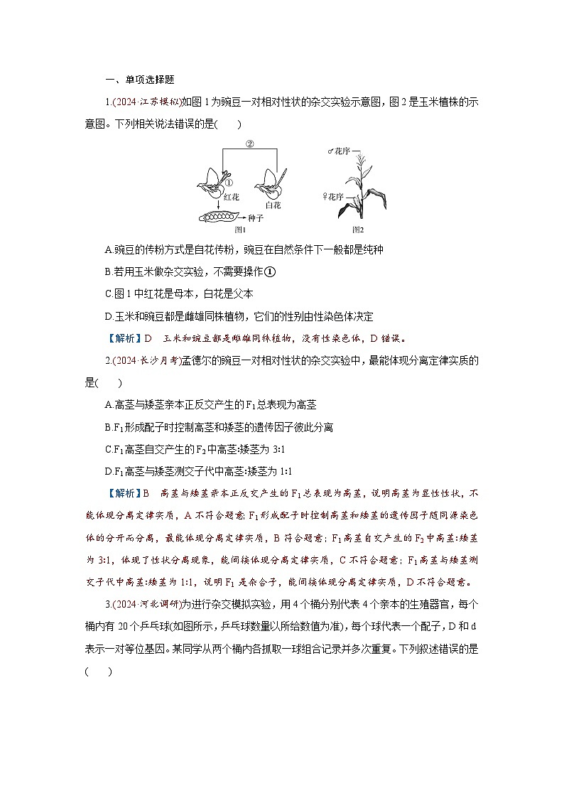 2026届高考生物学一轮专题复习练习：专题5 第1讲　基因的分离定律 习题及答案解析第1页
