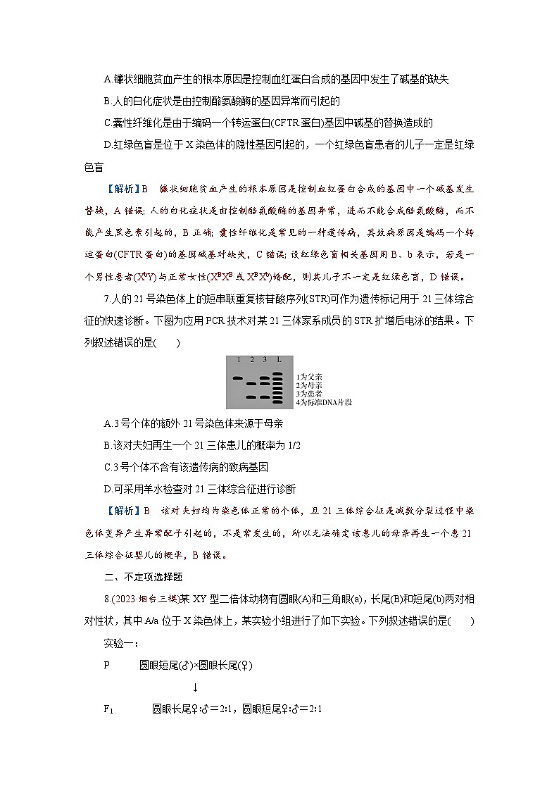 2026届高考生物学一轮专题复习练习：专题5 第3讲　基因在染色体上、伴性遗传和人类遗传病 习题及答案解析第3页
