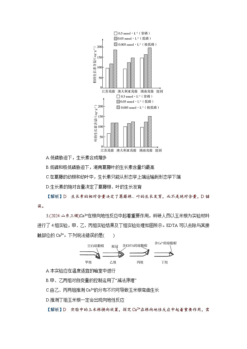 2026届高考生物学一轮专题复习练习：专题8 第6讲　植物生命活动的调节 习题及答案解析第2页