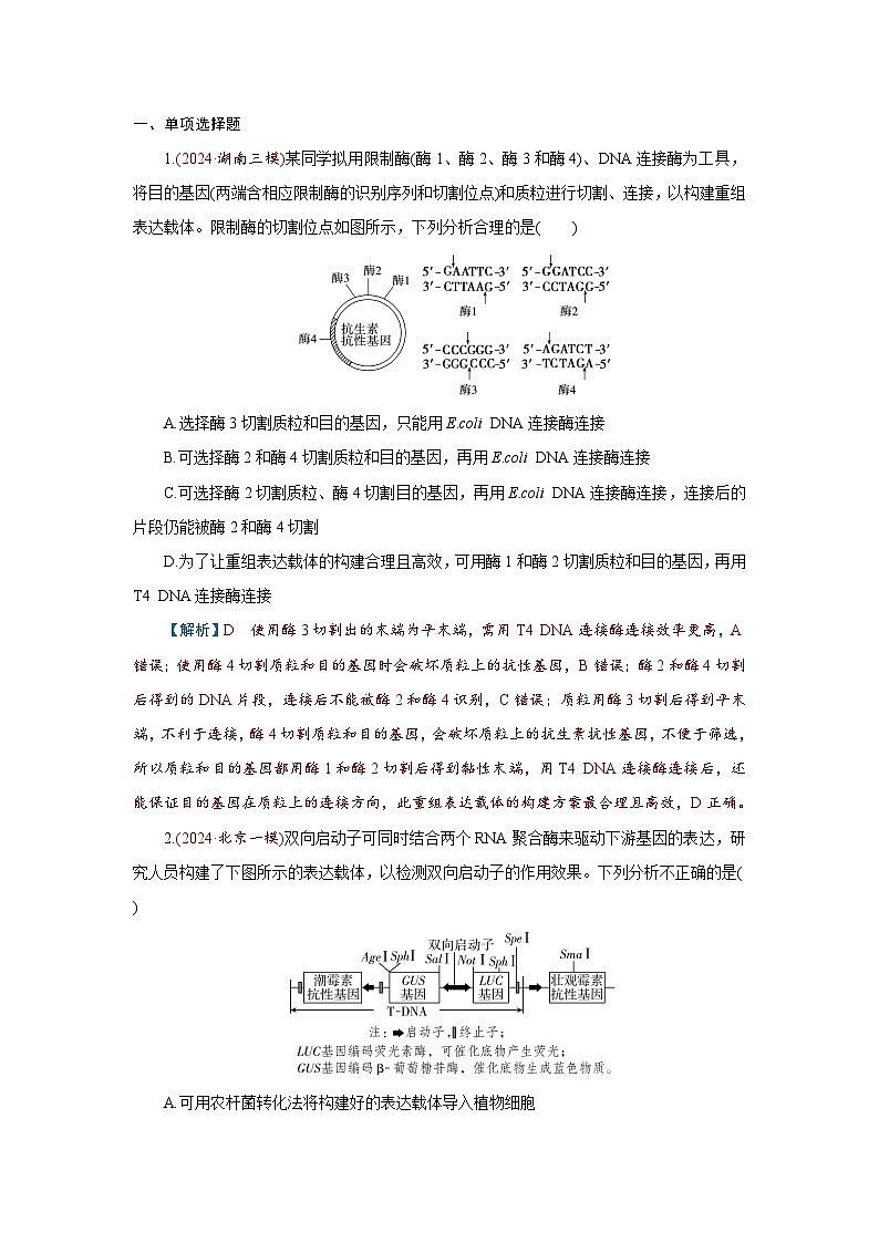 2026届高考生物学一轮专题复习练习：专题10 第6讲　基因工程及生物技术的安全性和伦理问题 习题及答案解析第1页