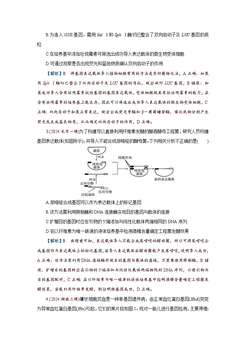2026届高考生物学一轮专题复习练习：专题10 第6讲　基因工程及生物技术的安全性和伦理问题 习题及答案解析第2页