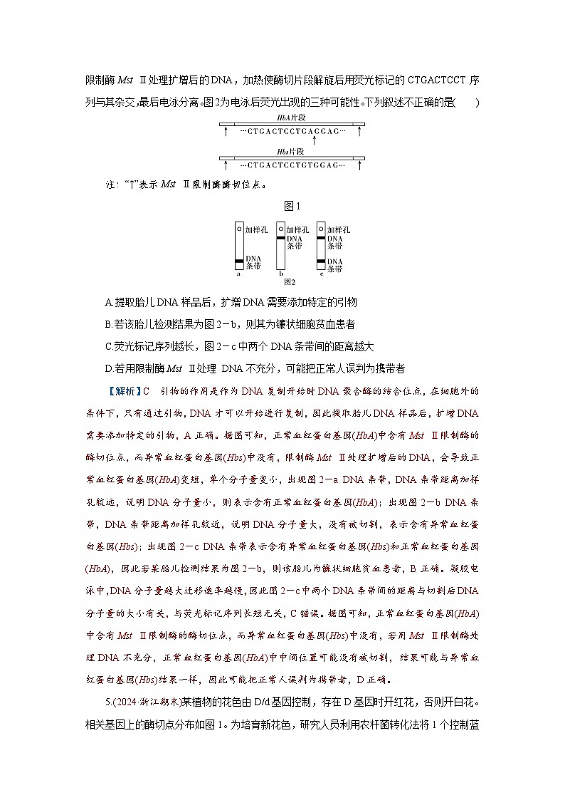 2026届高考生物学一轮专题复习练习：专题10 第6讲　基因工程及生物技术的安全性和伦理问题 习题及答案解析第3页