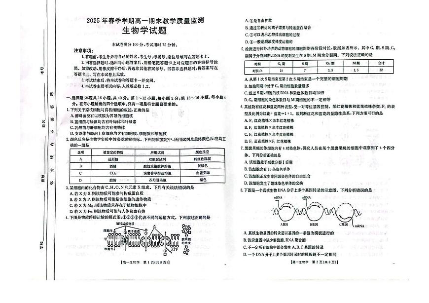 广西壮族自治区贺州市2024-2025学年高一下学期期末考试生物试卷（PDF版附答案）第1页