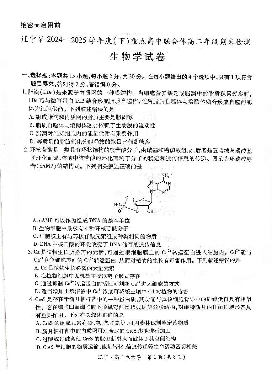 辽宁省重点高中联合体2024-2025学年高二下学期期末考试生物试卷（PDF版附解析）第1页