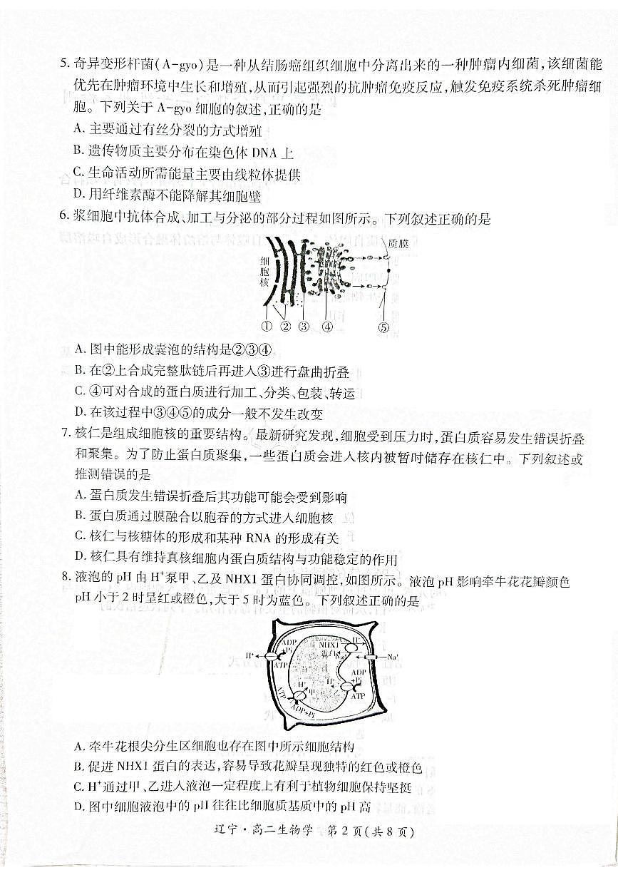 辽宁省重点高中联合体2024-2025学年高二下学期期末考试生物试卷（PDF版附解析）第2页