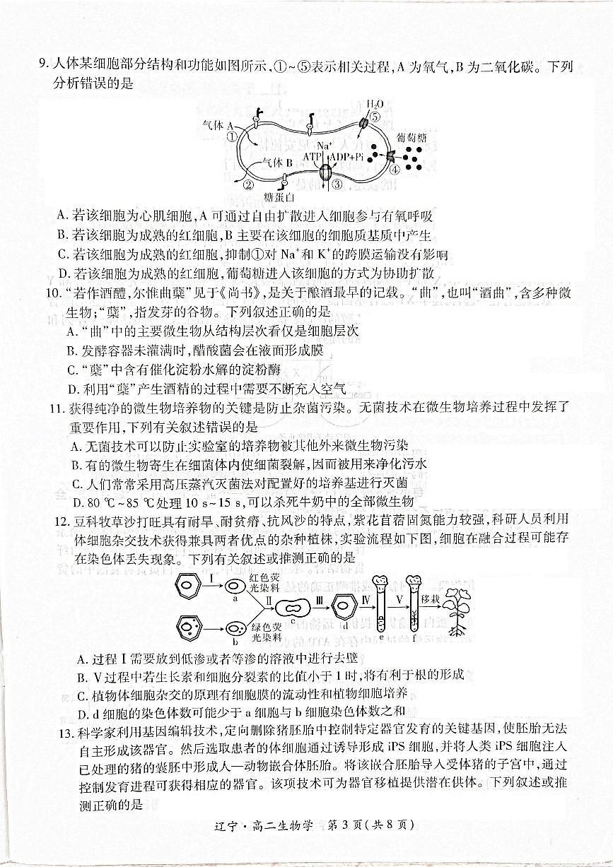辽宁省重点高中联合体2024-2025学年高二下学期期末考试生物试卷（PDF版附解析）第3页