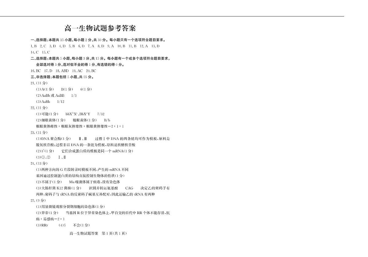 高一生物—答案第1页