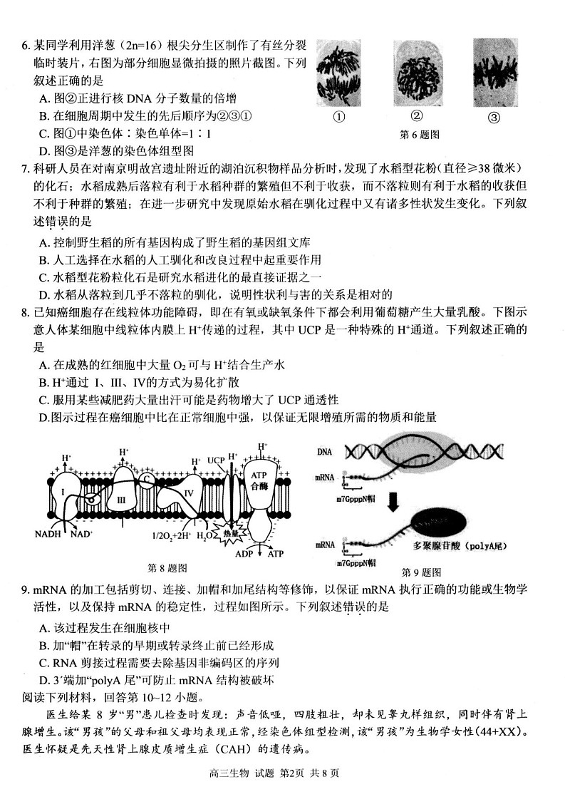 2025届浙江七彩阳光研究联盟高三上学期开学联考-生物试题（含答案）第2页