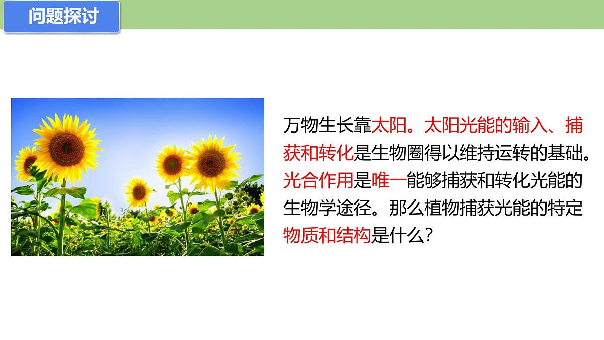 5.4光合作用与能量转化  第二课时 课件-2025-2026学年上学期高一生物（人教版）必修1第2页