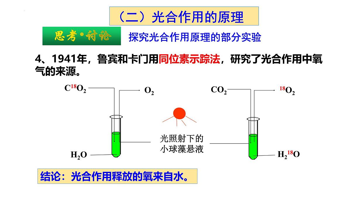 5.4光合作用与能量转化  第二课时 课件-2025-2026学年上学期高一生物（人教版）必修1第7页