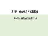 5.4光合作用与能量转化  第一课时   课件-2025-2026学年上学期高一生物（人教版）必修1
