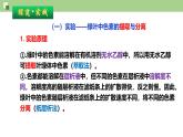 5.4光合作用与能量转化  第一课时   课件-2025-2026学年上学期高一生物（人教版）必修1