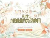 人教版 2019 高中生物 必修1 第五章 5.4《光合作用與能量轉(zhuǎn)化》 課時(shí)1 (PPT+教案)