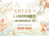 人教版 2019 高中生物 必修1 第五章 5.4《光合作用與能量轉(zhuǎn)化》 課時(shí)1 (PPT+教案)