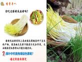 人教版 2019 高中生物 必修1 第五章 5.4《光合作用與能量轉(zhuǎn)化》 課時(shí)1 (PPT+教案)