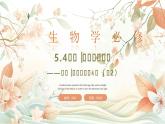 人教版 2019 高中生物 必修1 第五章 5.4《光合作用與能量轉(zhuǎn)化》 課時2 （PPT+教案）