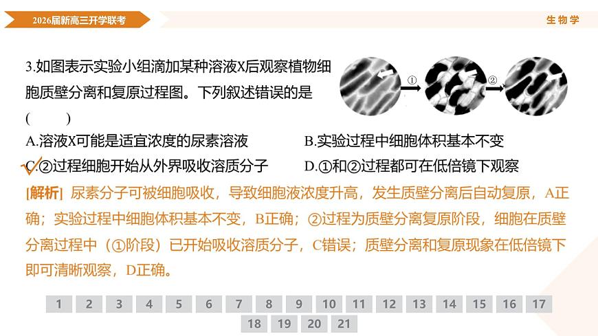 高三生物ppt课件（2026届开学联考）第8页