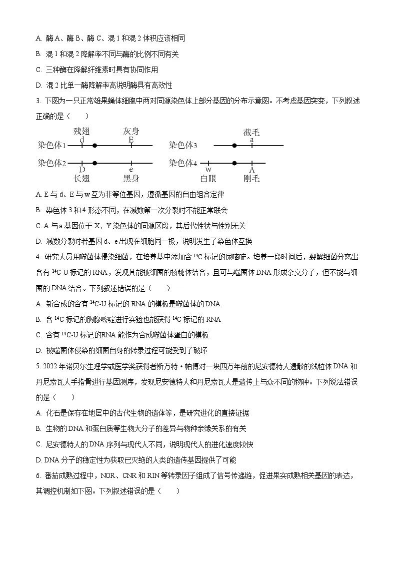 广东省深圳市龙华区2024-2025学年高二下学期期末调研测试生物试题（含答案）第2页