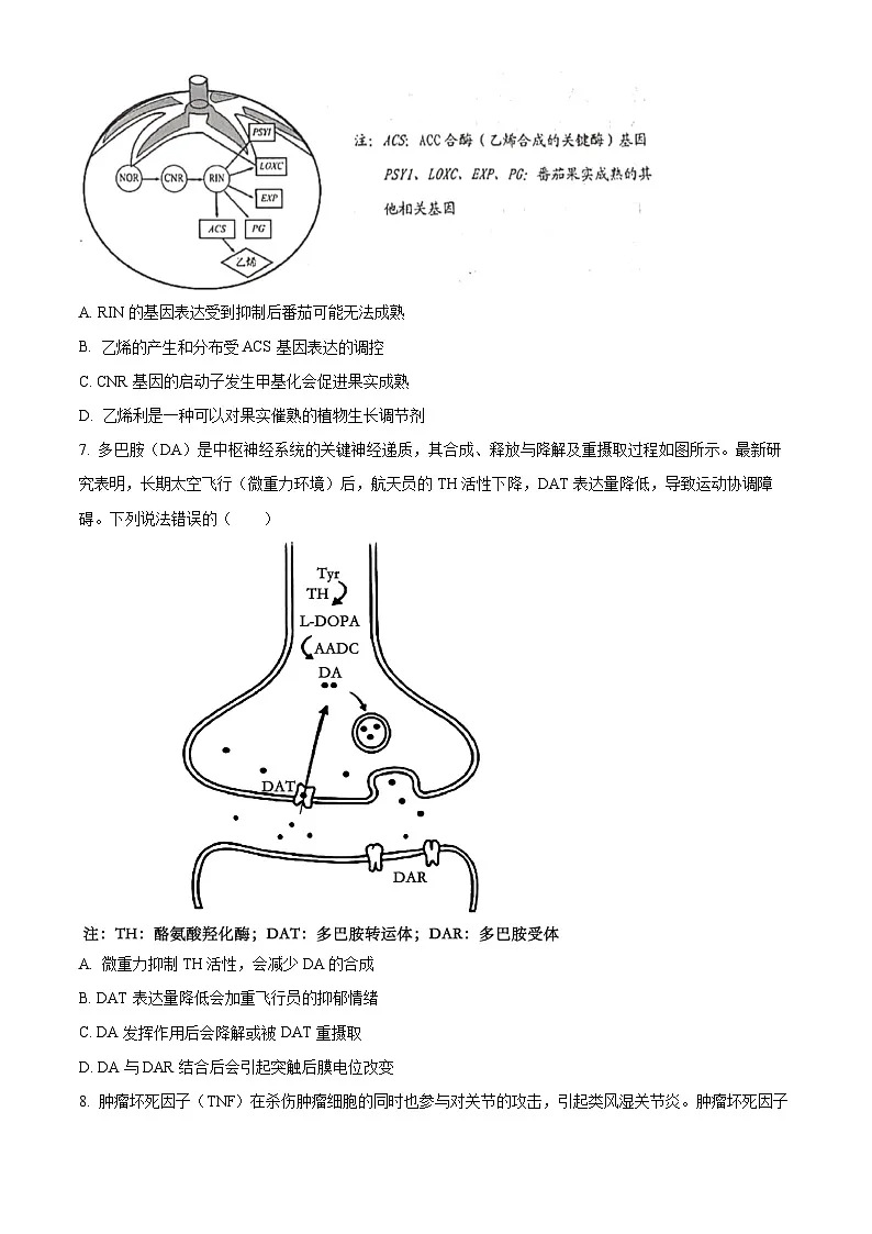 广东省深圳市龙华区2024-2025学年高二下学期期末调研测试生物试题（含答案）第3页