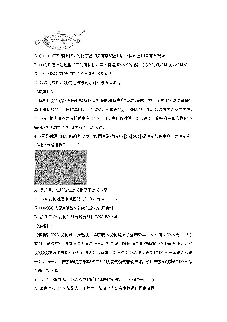 答案第2页