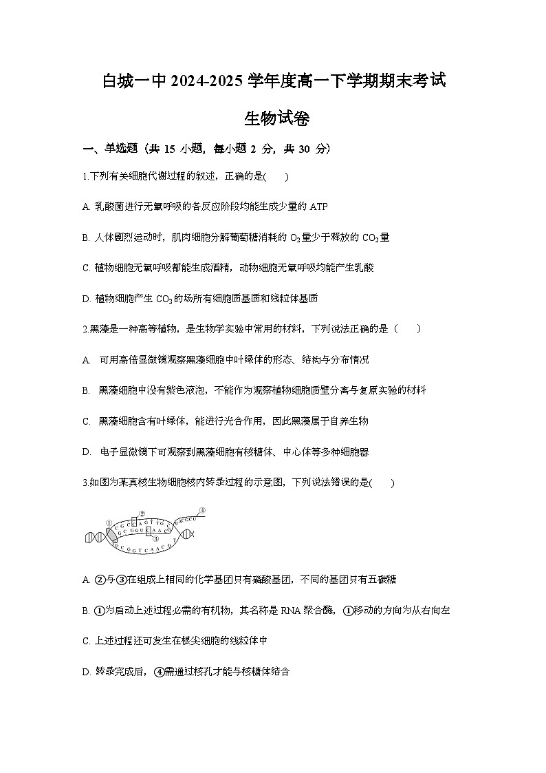 吉林省白城市洮北区白城市第一中学2024-2025学年高一下学期7月期末生物试题第1页