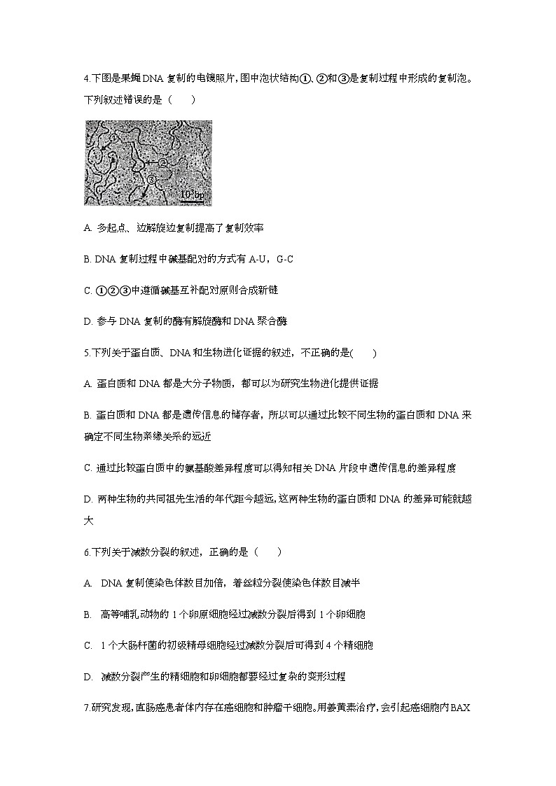 吉林省白城市洮北区白城市第一中学2024-2025学年高一下学期7月期末生物试题第2页