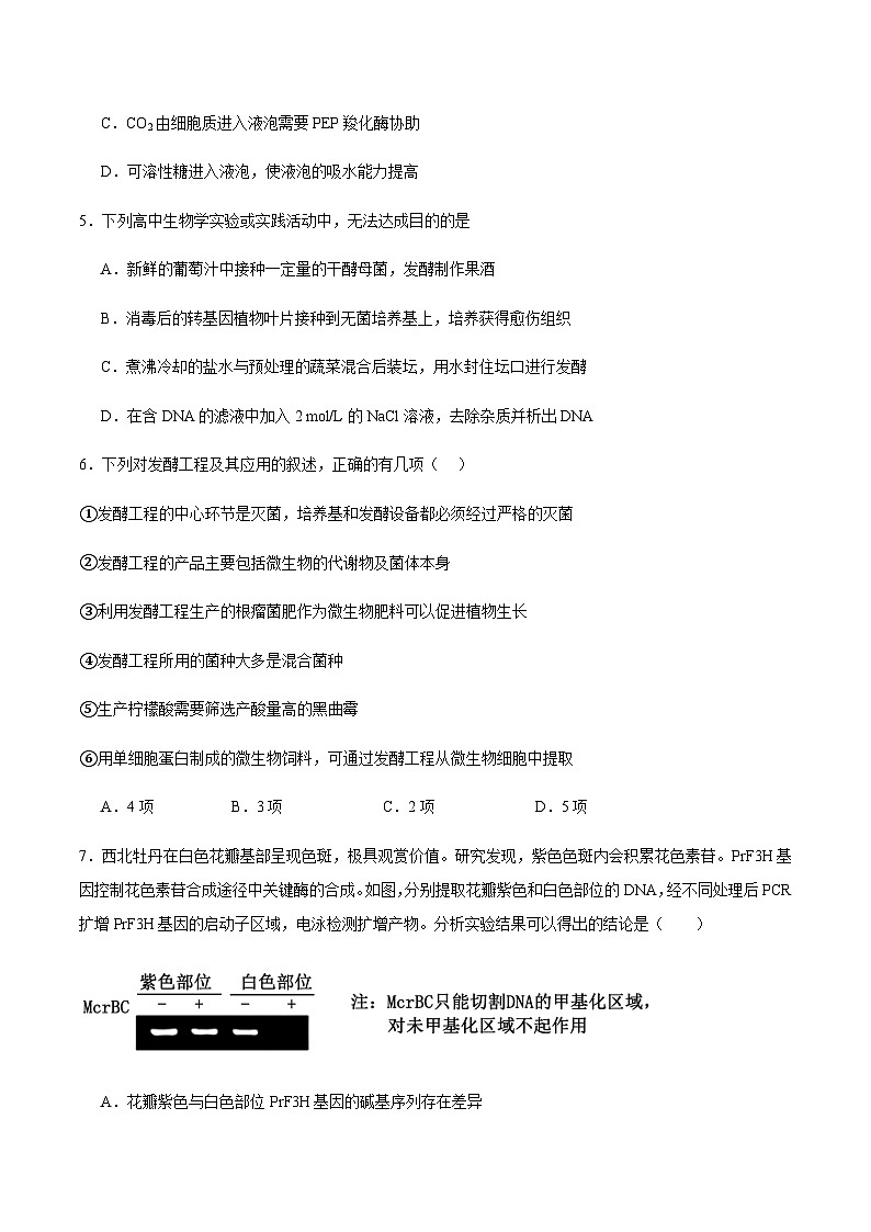 江西省宜春市丰城市第九中学2024-2025学年高二下学期期末考试生物试卷（含答案）第3页