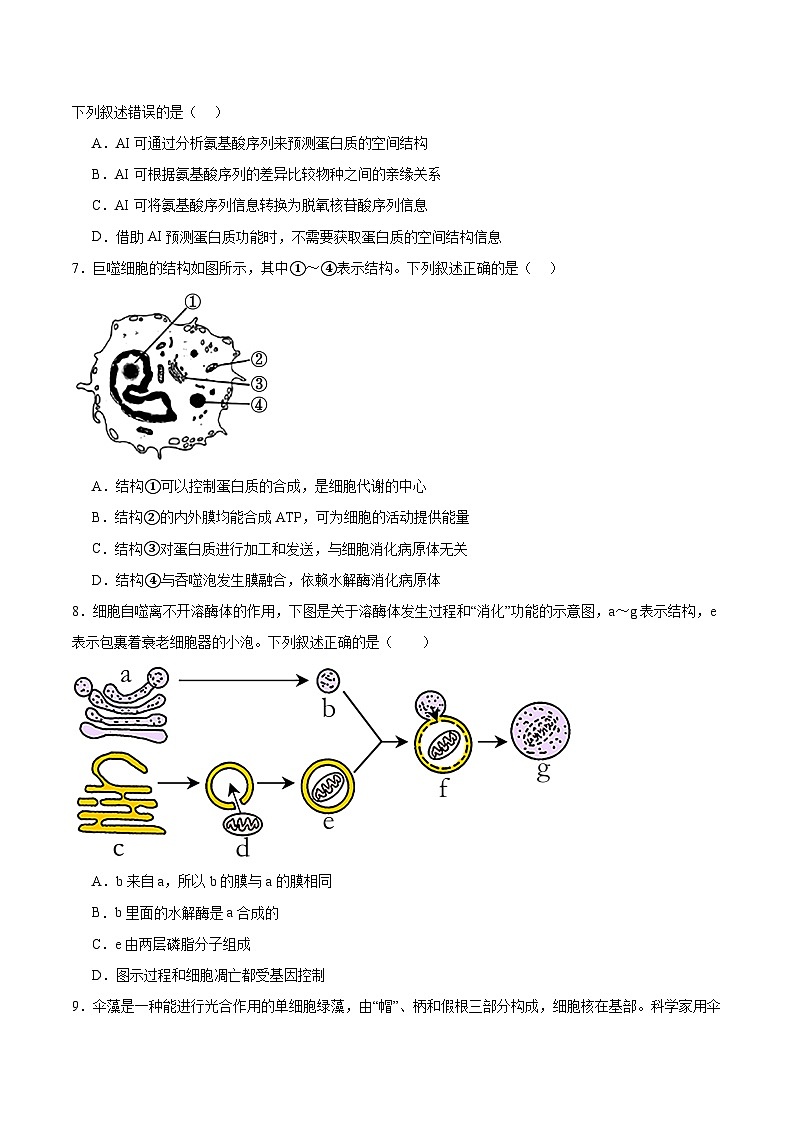 内蒙古巴彦淖尔市2024-2025学年高二下学期期末考试生物试卷（有答案）第2页