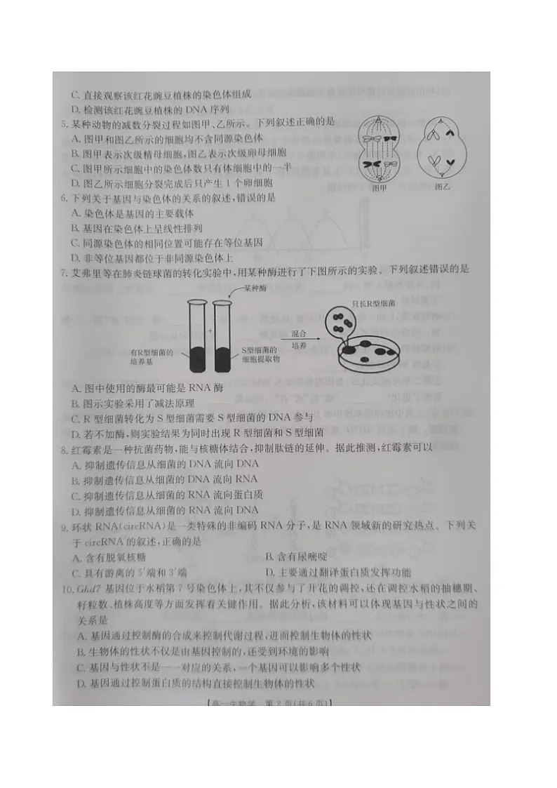 内蒙古自治区巴彦淖尔市2024-2025学年高一下学期期末考试生物试卷（图片版）第2页