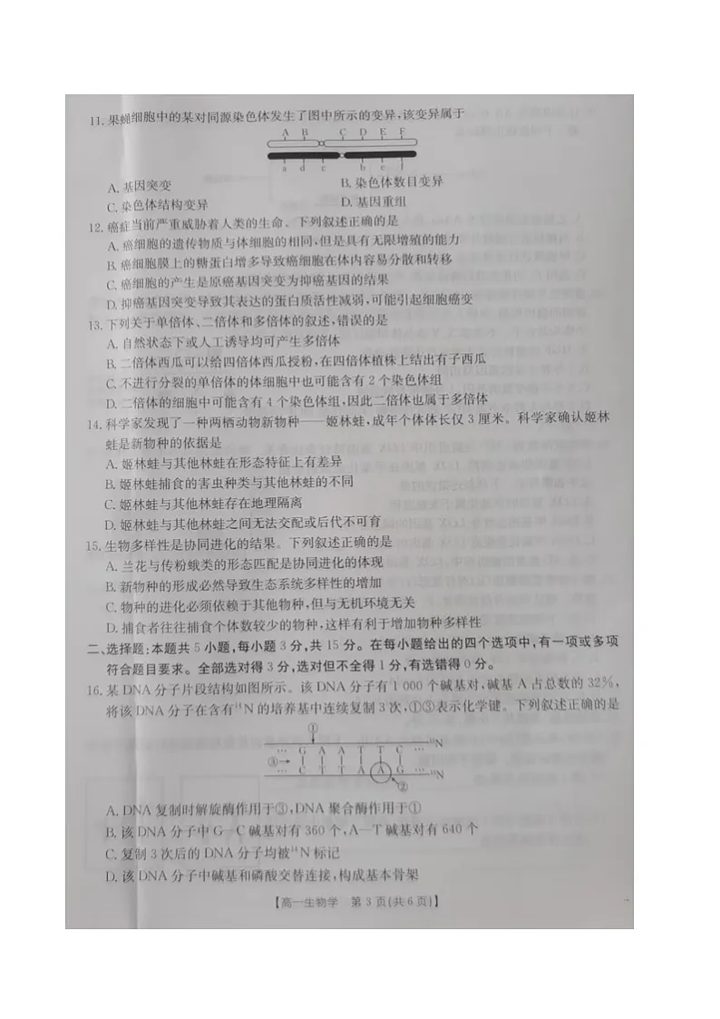 内蒙古自治区巴彦淖尔市2024-2025学年高一下学期期末考试生物试卷（图片版）第3页