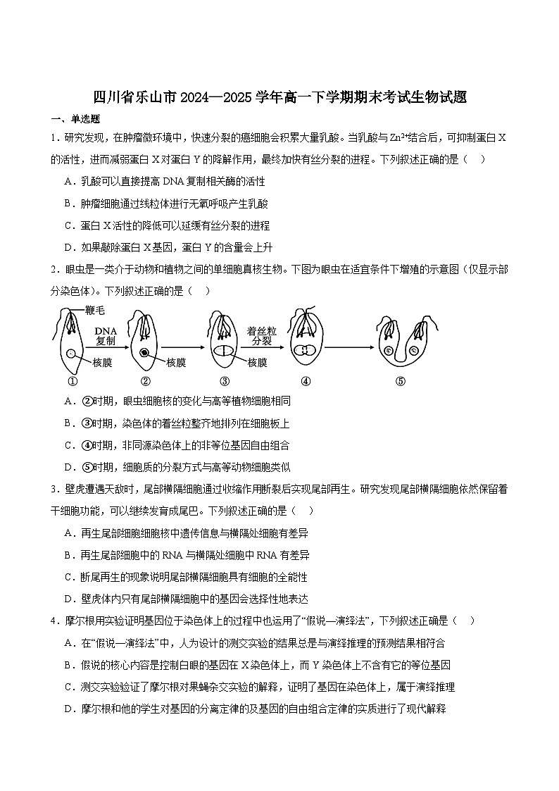 四川省乐山市普通高中2024-2025学年高一下学期期末教学质量检测生物试卷（含答案）第1页