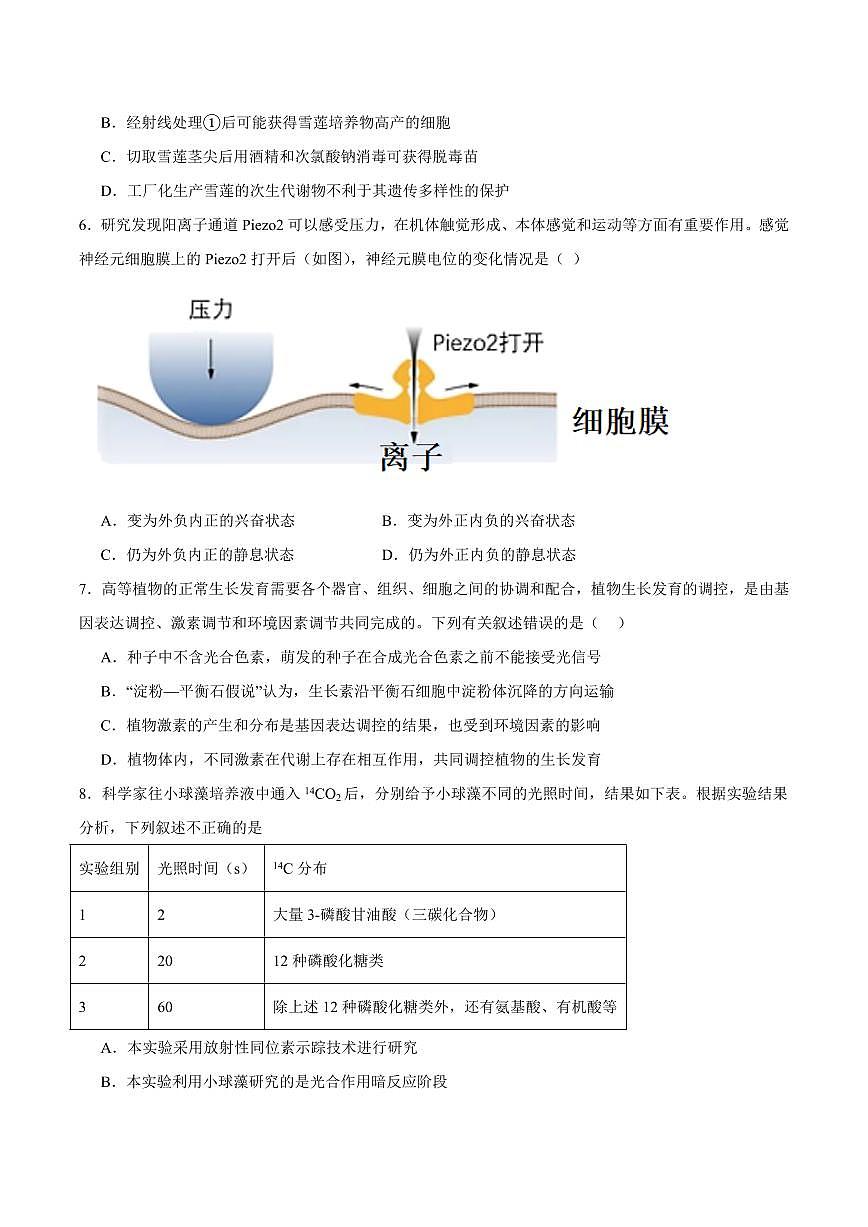 吉林省白城一中2025届新高二下学期7月期末考-生物试题+答案第2页