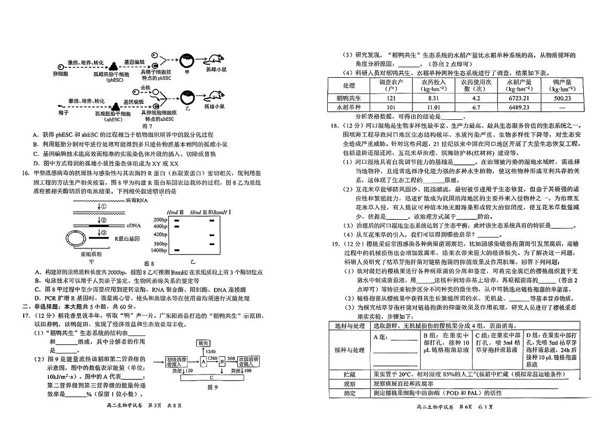 广东省梅州市2024-2025学年高二下学期期末考试生物试题（PDF版附解析）第3页