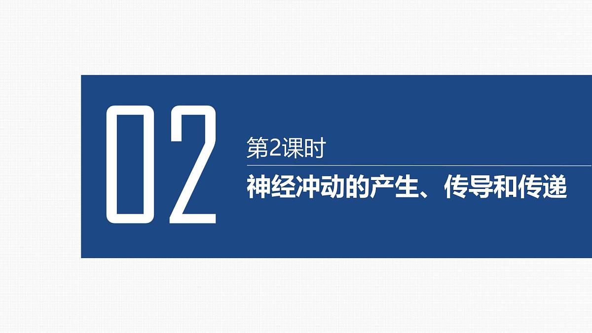 第23讲 神经调节-第2课时 神经冲动的产生、传导和传递第2页