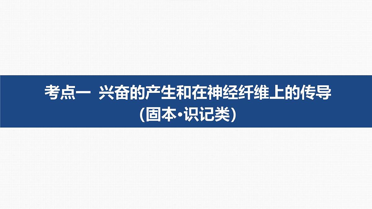 第23讲 神经调节-第2课时 神经冲动的产生、传导和传递第5页
