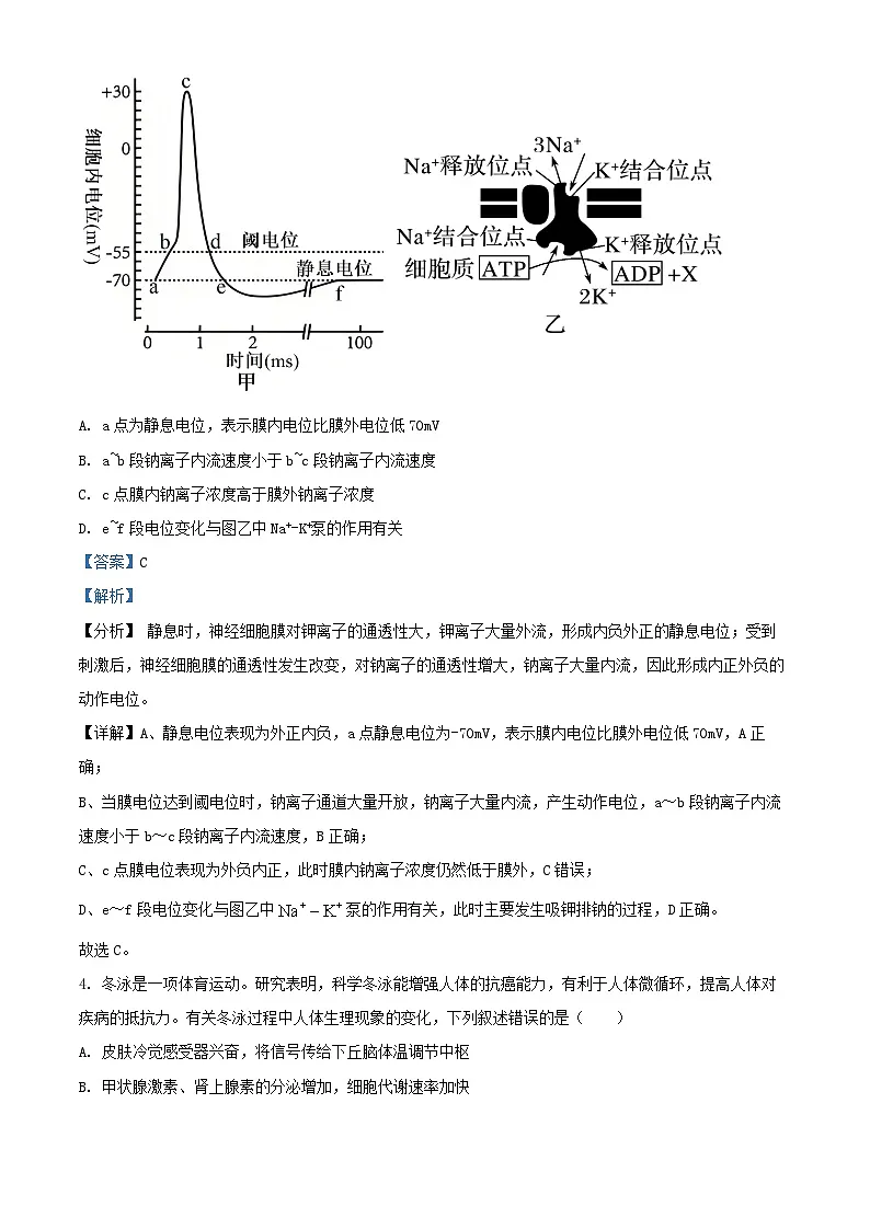 四川省成都市2024_2025学年高二生物上学期12月期末试题含解析第3页