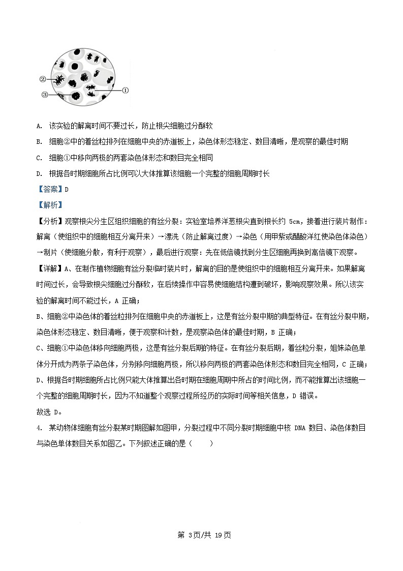四川省自贡市2024_2025学年高一生物下学期3月月考试题含解析第3页