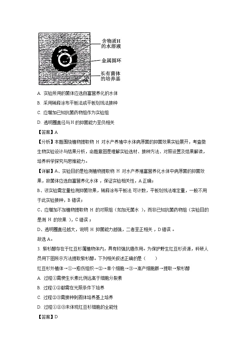 2024-2025学年北京市海淀区高二下学期期末考试生物试卷（解析版）第2页