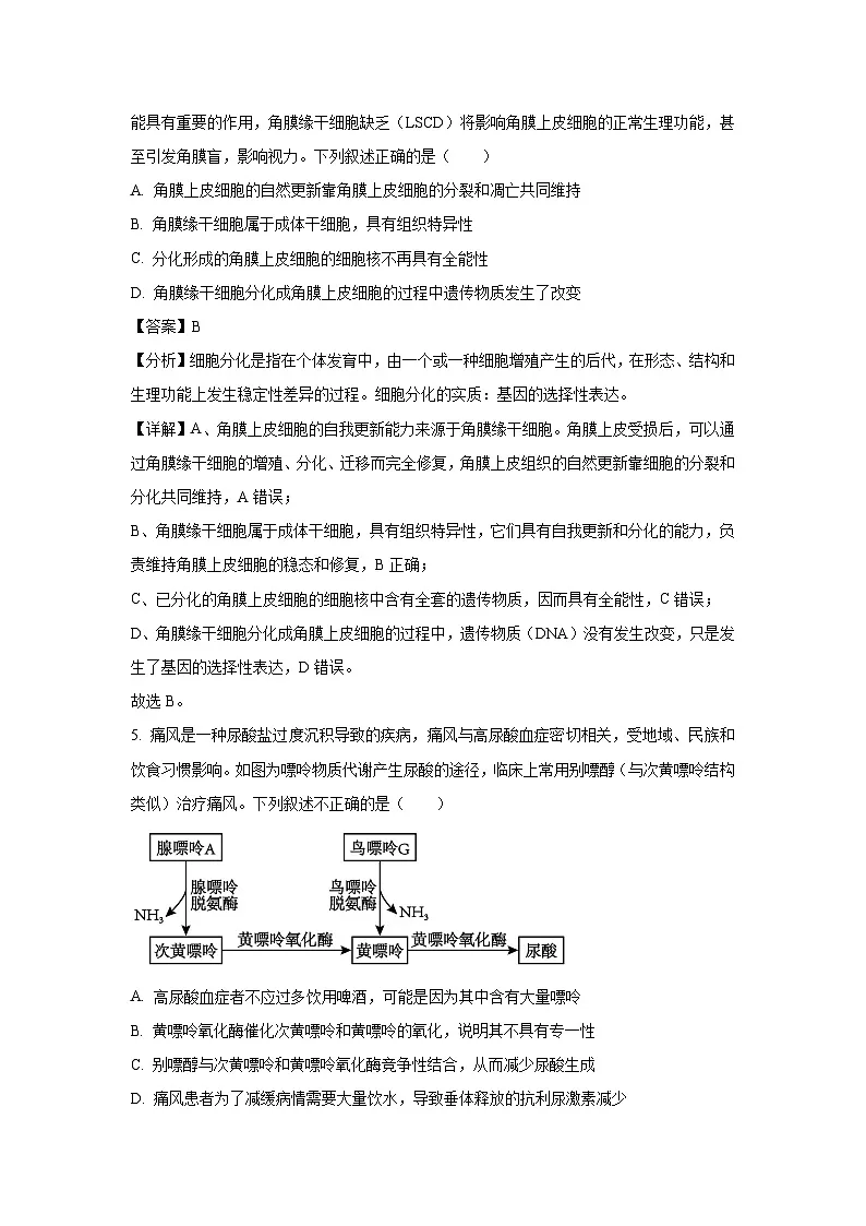 湖南名校联考联合体2025届高三考前仿真模拟联考(三)生物试卷（解析版）第3页