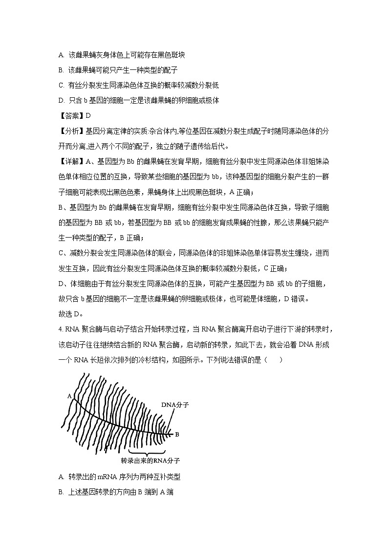 山西省部分学校2025届高三下学期冲刺押题卷（五）生物试卷（解析版）第3页