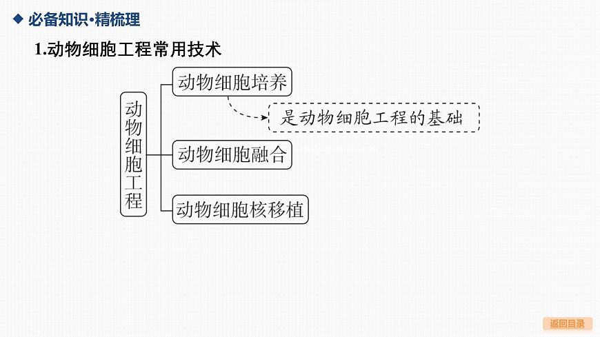 04-第36讲 动物细胞工程第5页