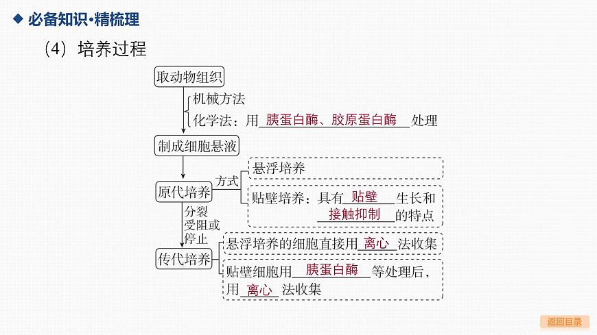 04-第36讲 动物细胞工程第8页
