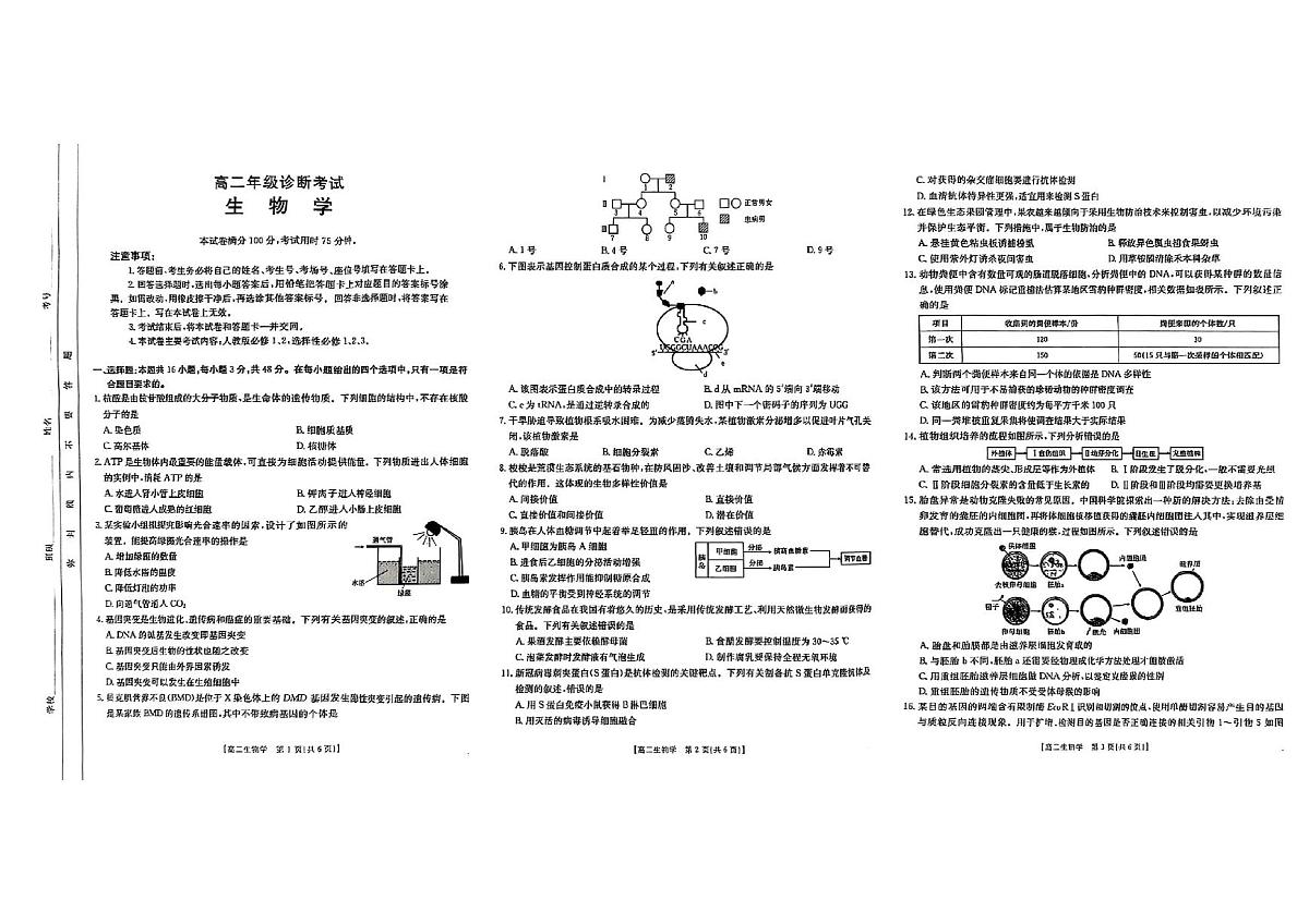 甘肃省庆阳市2024-2025学年高二下学期期末诊断 生物第1页