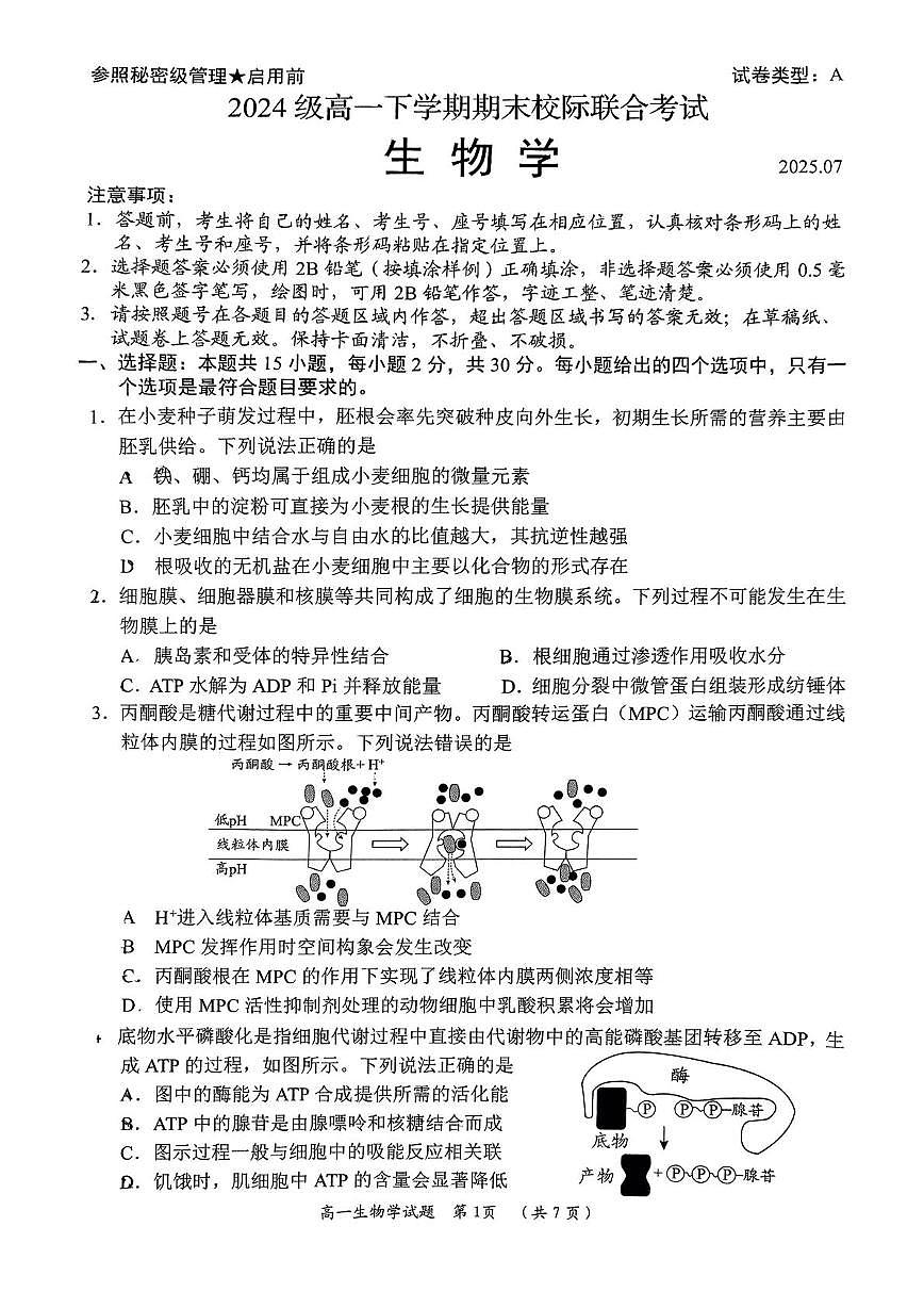 山东省日照市2024-2025学年高一下学期期末校际联考生物试卷（图片版）第1页