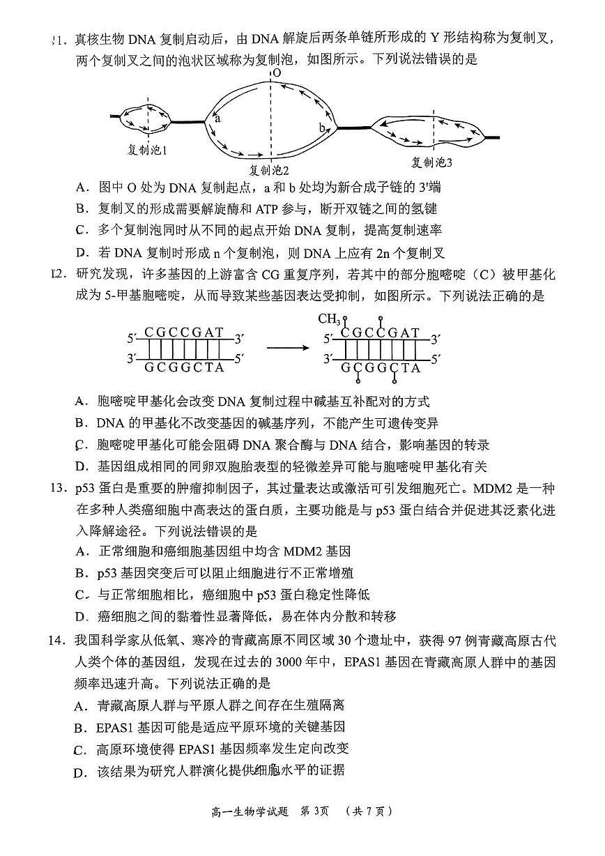 山东省日照市2024-2025学年高一下学期期末校际联考生物试卷（图片版）第3页