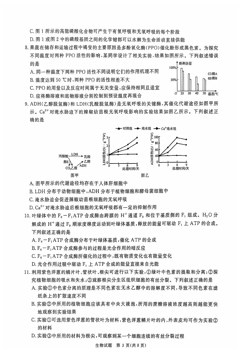 2025届河南省青桐鸣高三下学期10月大联考-生物试题（含答案）第3页