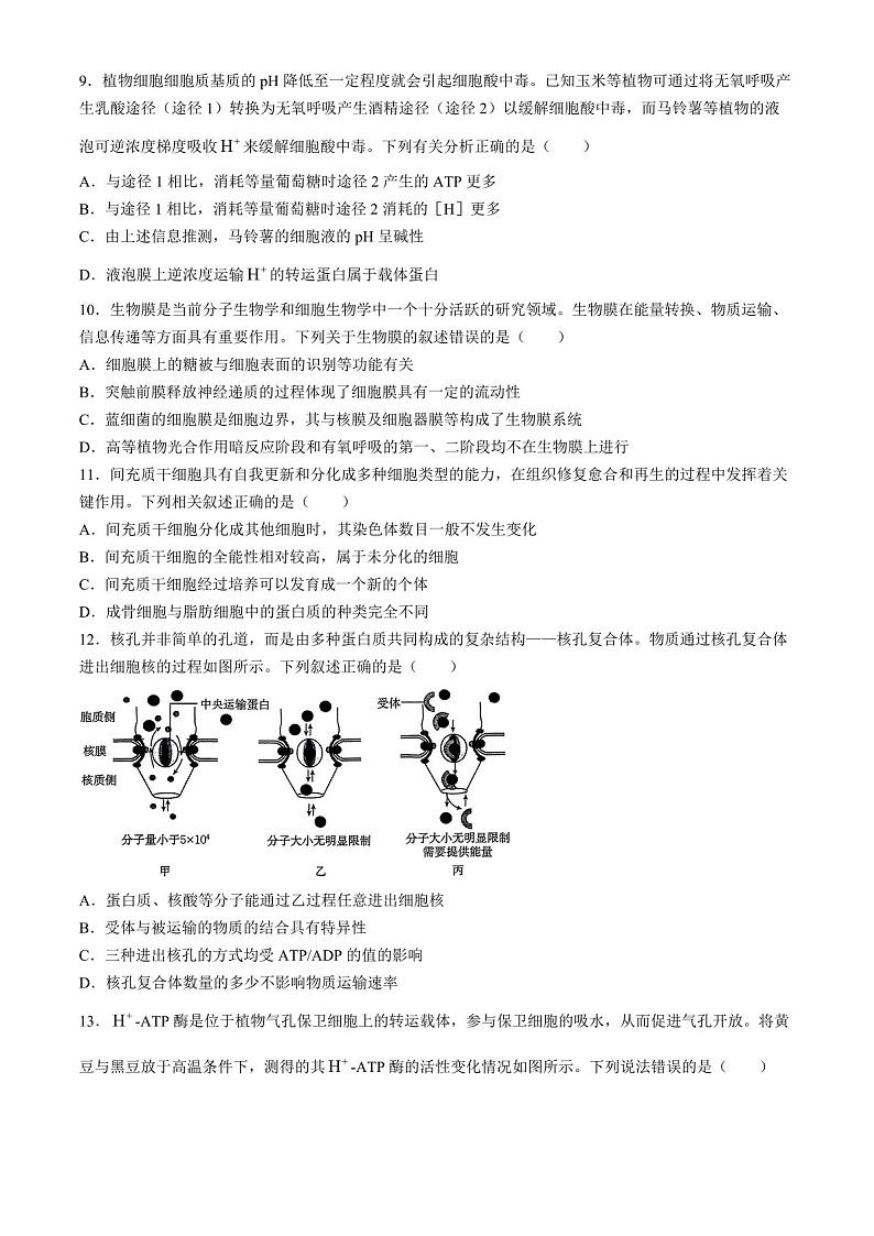2025届河南省高三上学期联考（二）-生物试题（含答案）第3页