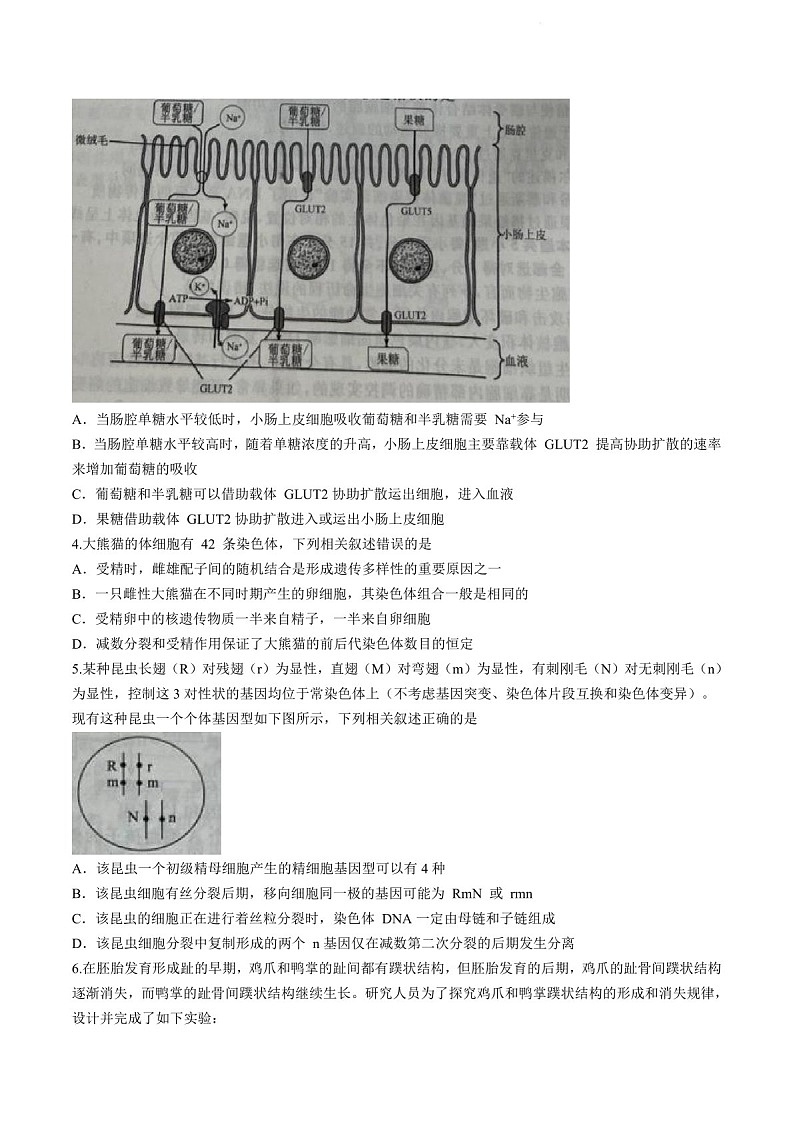 2025届辽宁省名校联盟高三下学期10月联考-生物试题（含答案）第2页