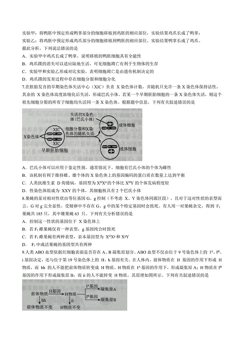 2025届辽宁省名校联盟高三下学期10月联考-生物试题（含答案）第3页